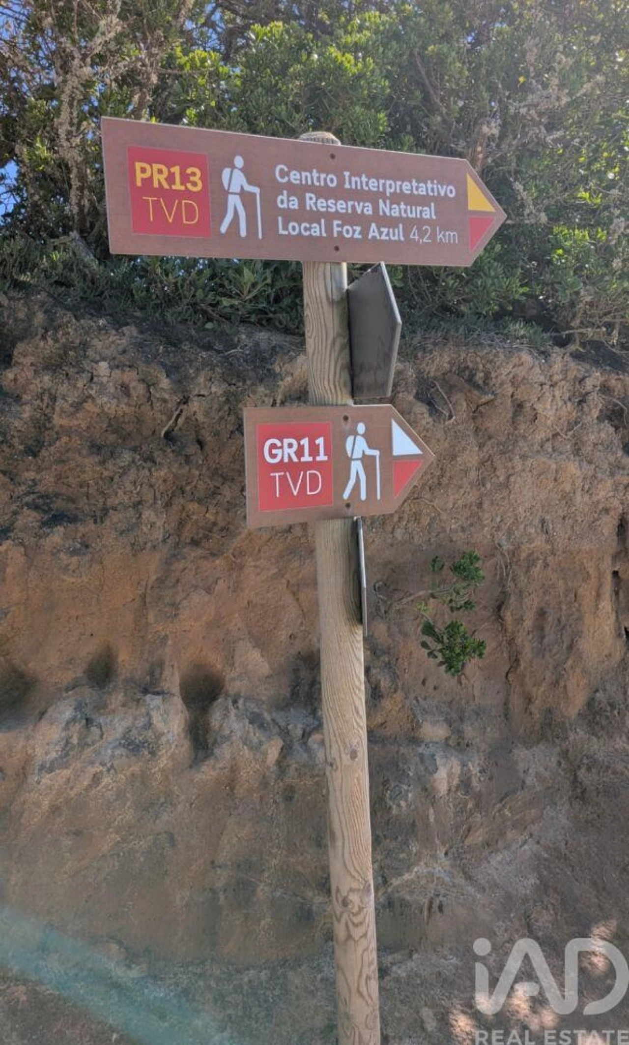 Terreno para Venda em São Pedro da Cadeira Foto 20