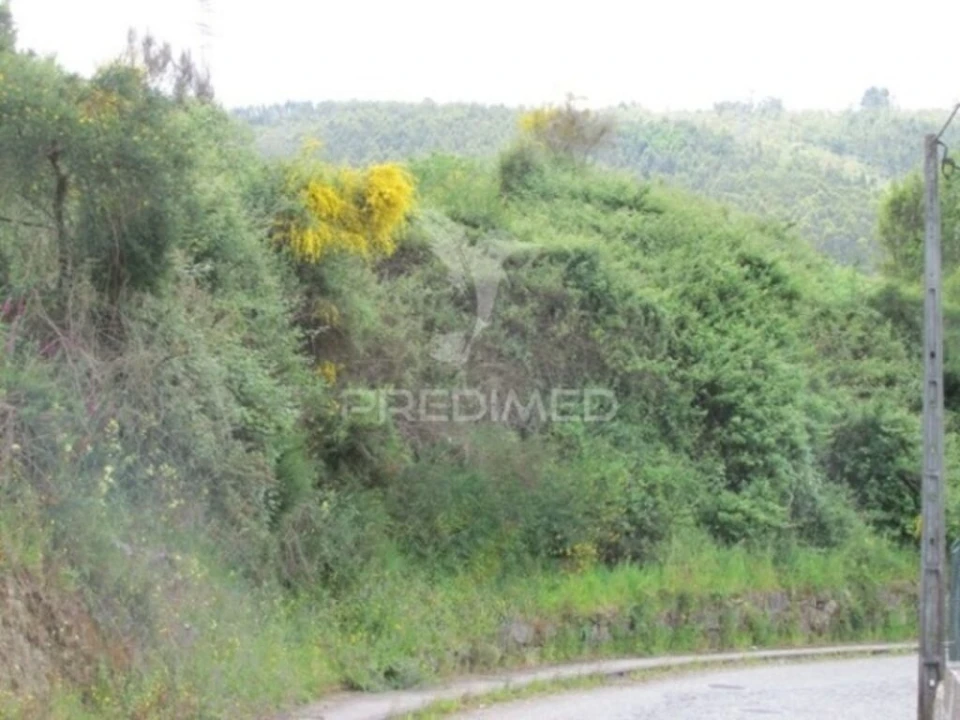 Terreno para Venda em São Tomé de Negrelos Foto 2