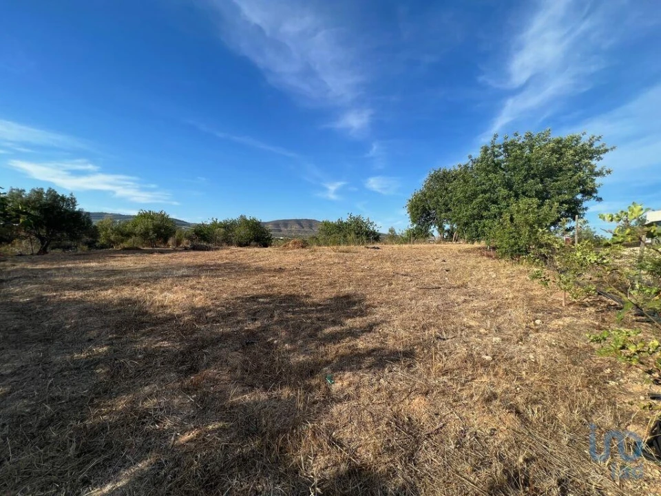 Terreno para Venda em Quelfes Foto 4