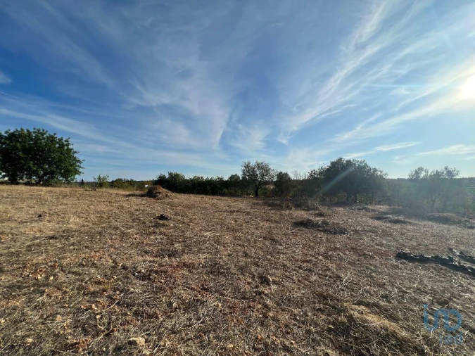 Terreno para Venda em Quelfes Foto 6