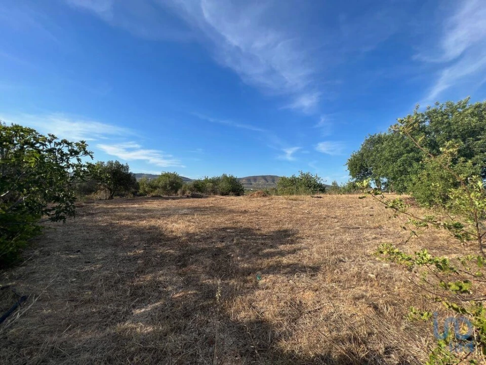 Terreno para Venda em Quelfes Foto 3