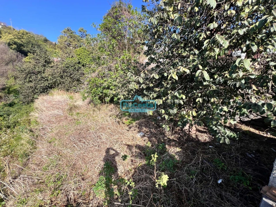 Terreno para Venda em Gaula Foto 10