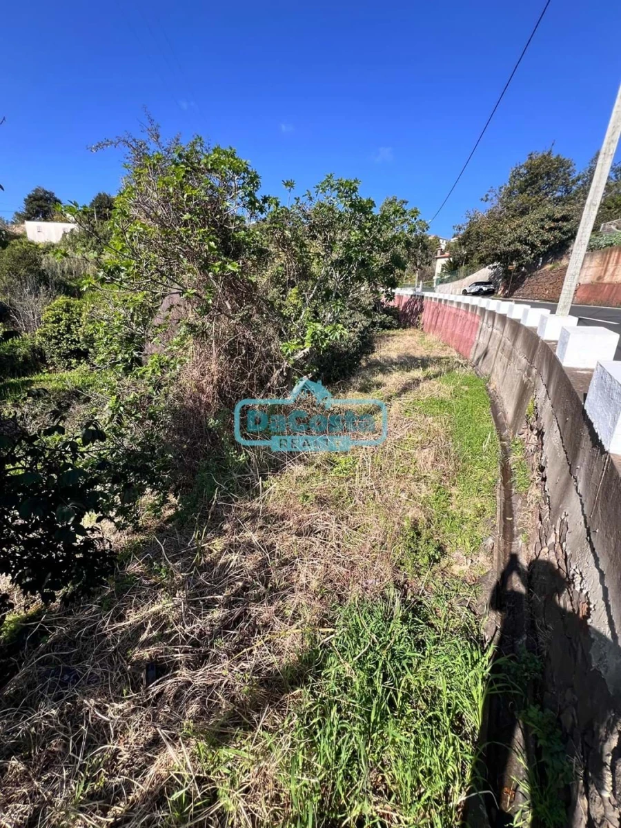 Terreno para Venda em Gaula Foto 12