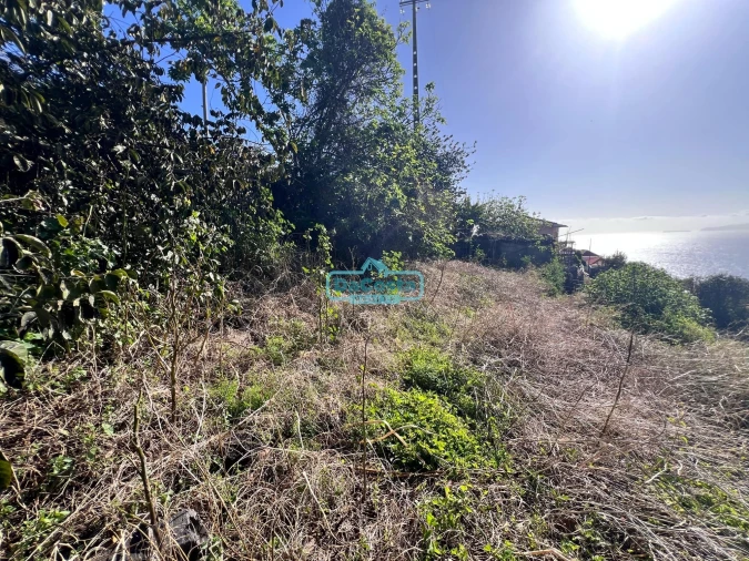 Terreno para Venda em Gaula Foto 9