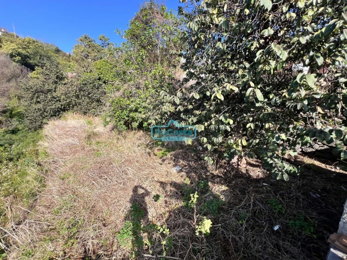 Terreno para Venda em Gaula Foto 10