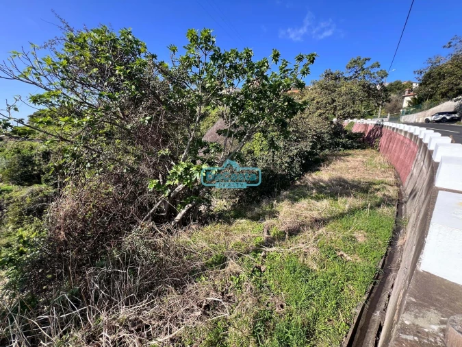 Terreno para Venda em Gaula Foto 2