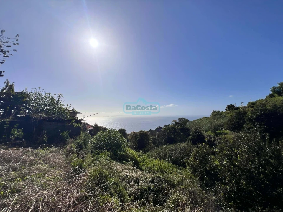 Terreno para Venda em Gaula Foto 4