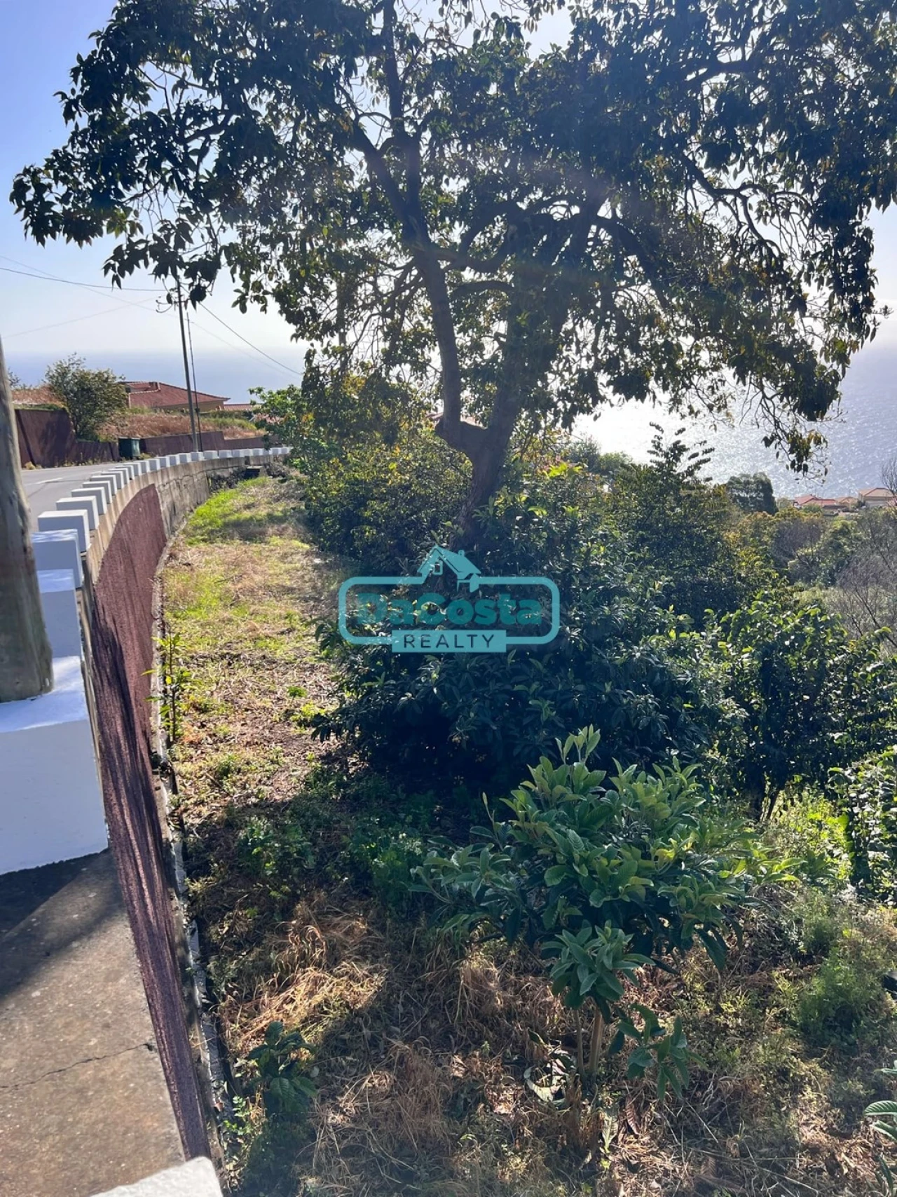 Terreno para Venda em Gaula Foto 6