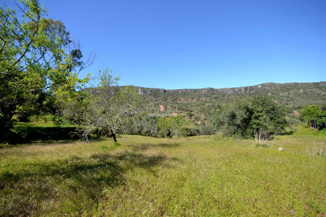 Terreno para Venda em Salir Foto 13