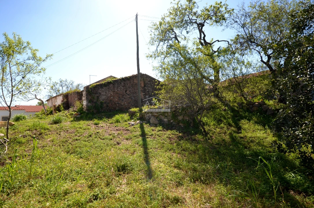 Terreno para Venda em Salir Foto 1