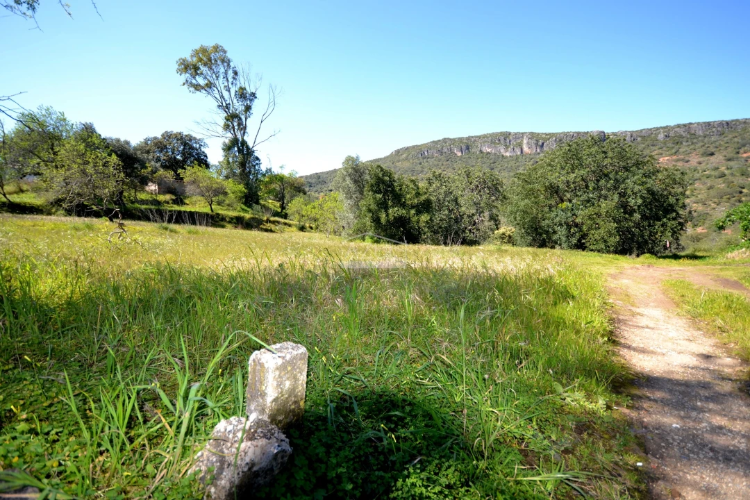 Terreno para Venda em Salir Foto 10