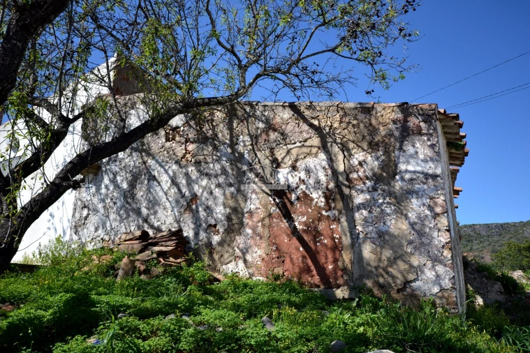 Terreno para Venda em Salir Foto 23