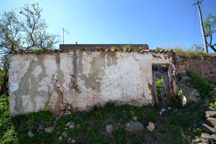 Terreno para Venda em Salir Foto 21