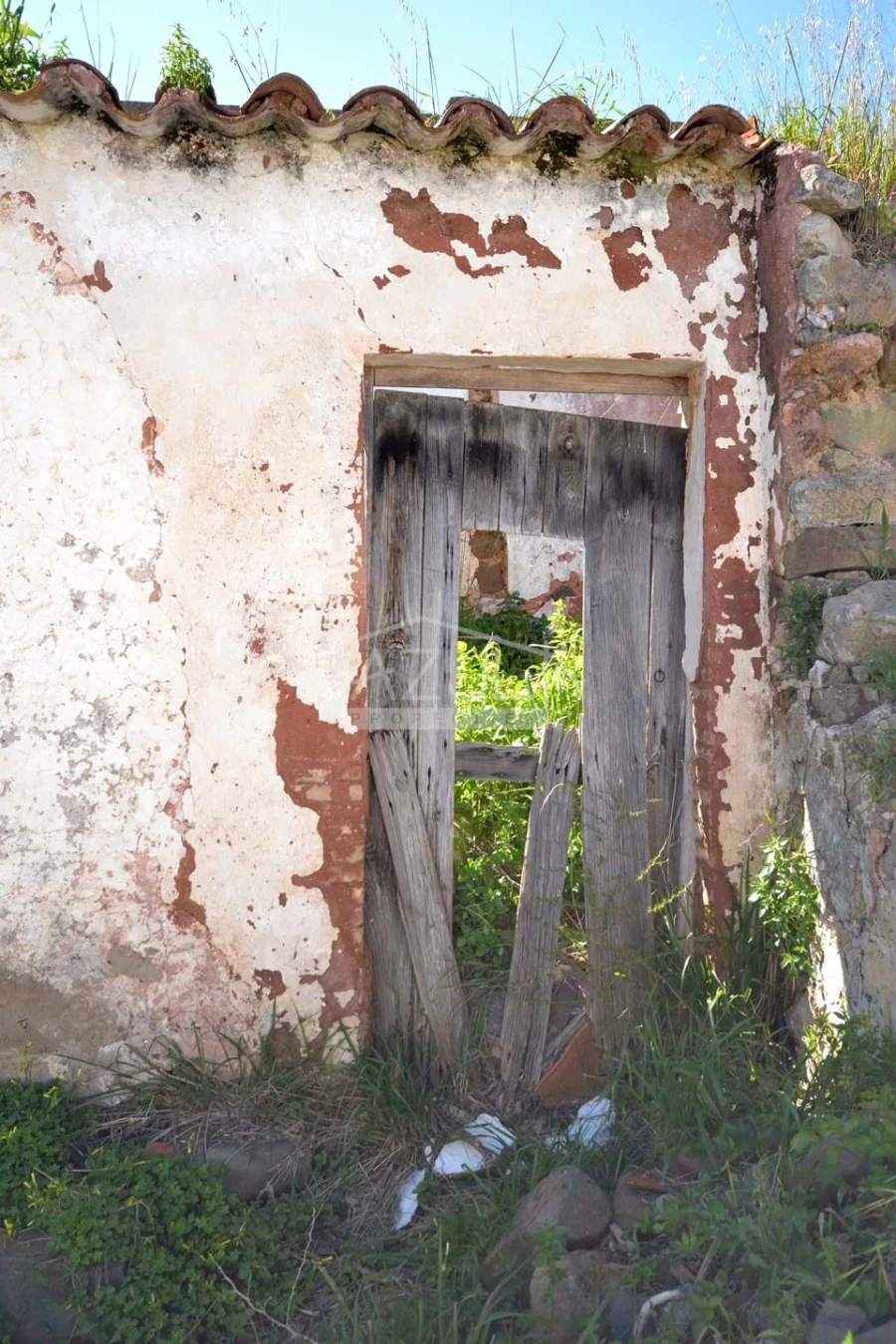 Terreno para Venda em Salir Foto 18