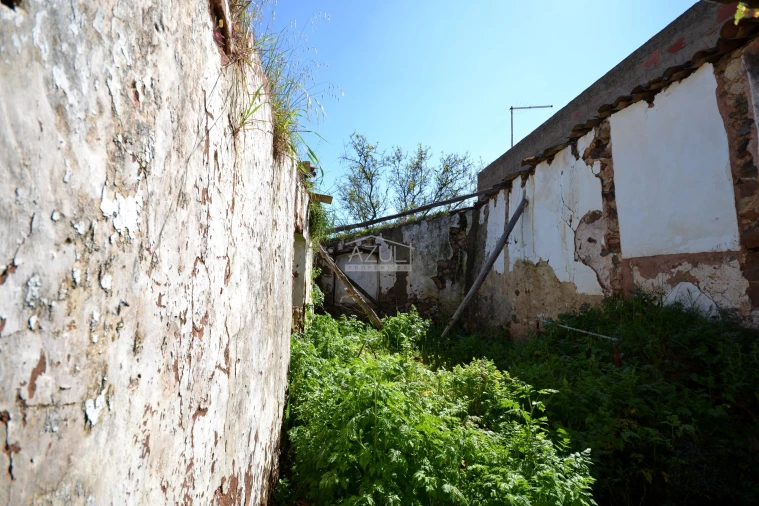 Terreno para Venda em Salir Foto 16