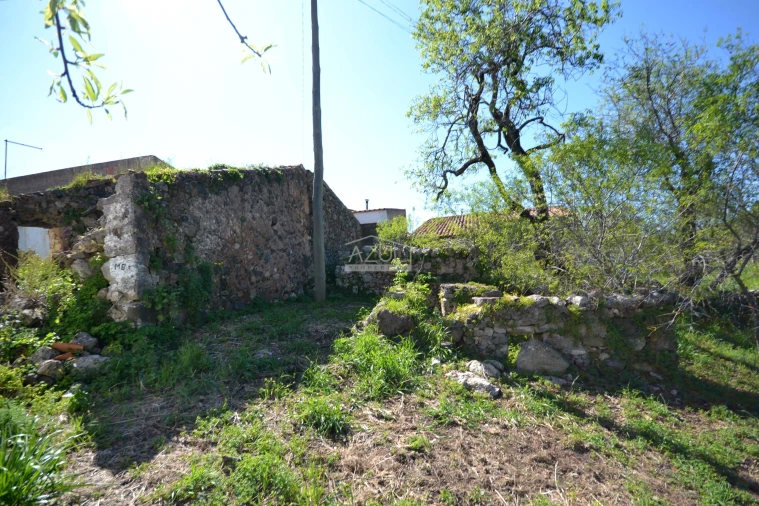 Terreno para Venda em Salir Foto 14