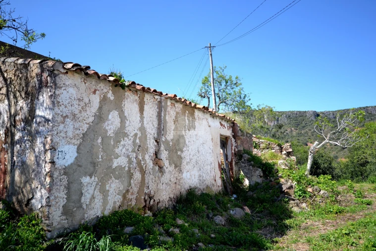 Terreno para Venda em Salir Foto 2