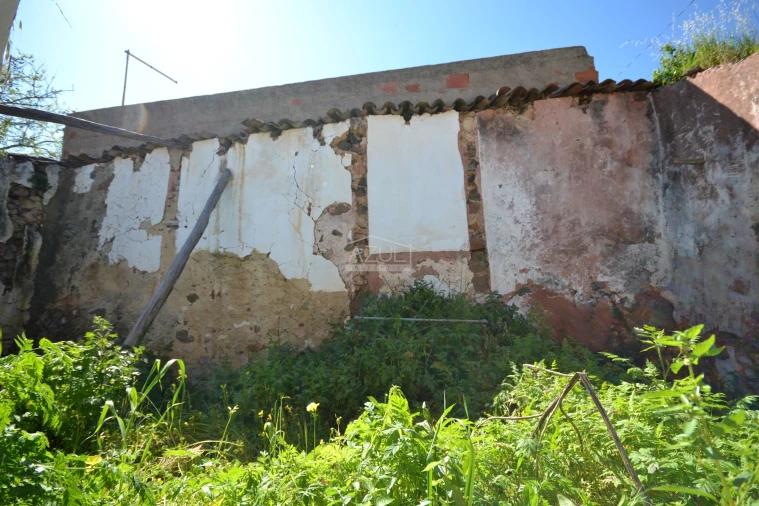 Terreno para Venda em Salir Foto 15