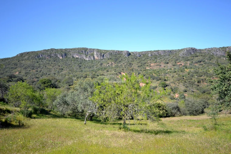 Terreno para Venda em Salir Foto 3
