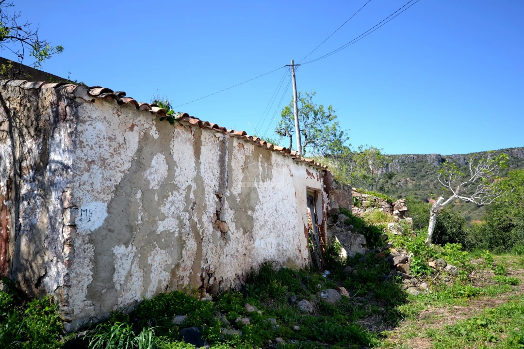 Terreno para Venda em Salir Foto 2