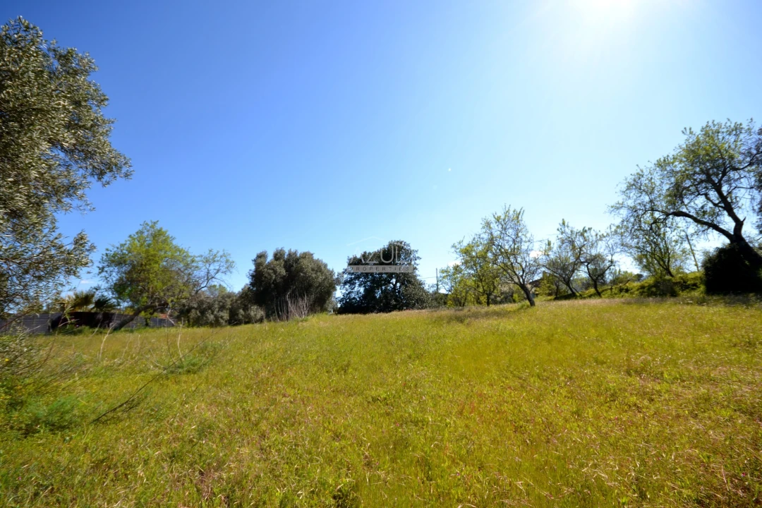 Terreno para Venda em Salir Foto 4