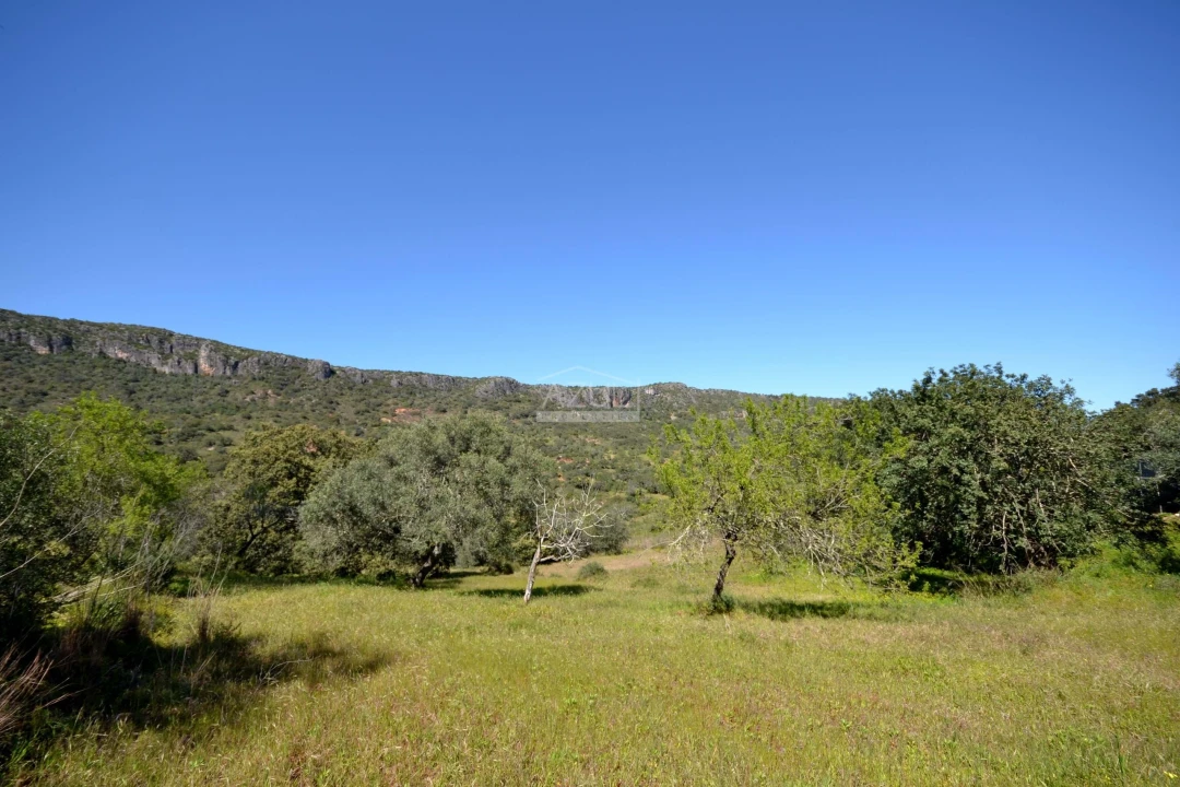 Terreno para Venda em Salir Foto 9
