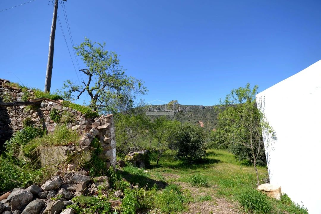 Terreno para Venda em Salir Foto 20
