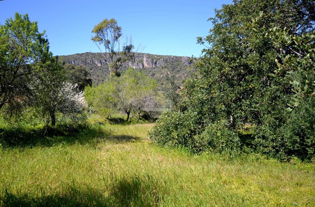 Terreno para Venda em Salir Foto 12