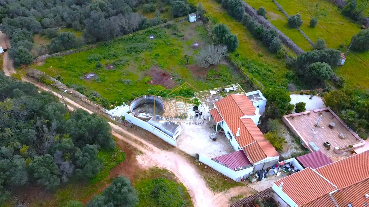 Negócio para Venda em São Silvestre Foto 12