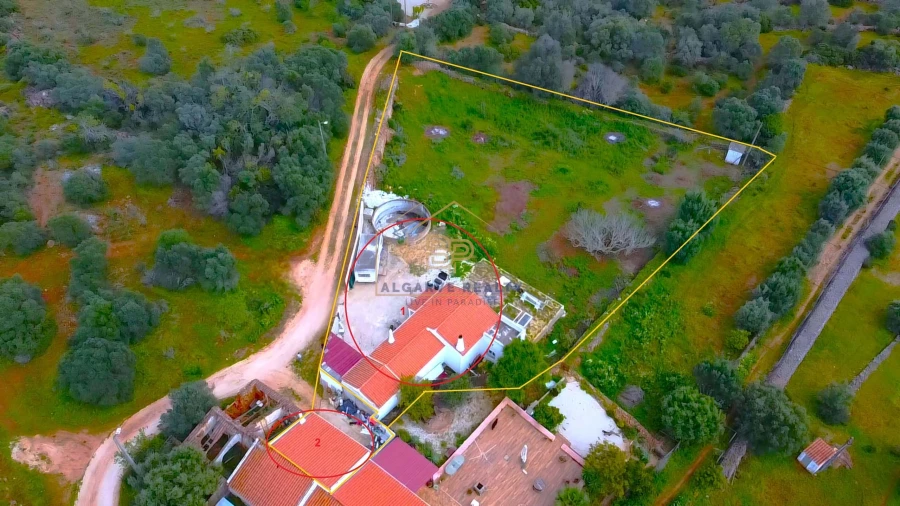 Negócio para Venda em São Silvestre Foto 5