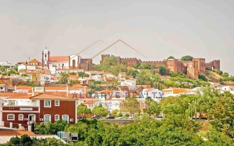 Negócio para Venda em São Silvestre Foto 15