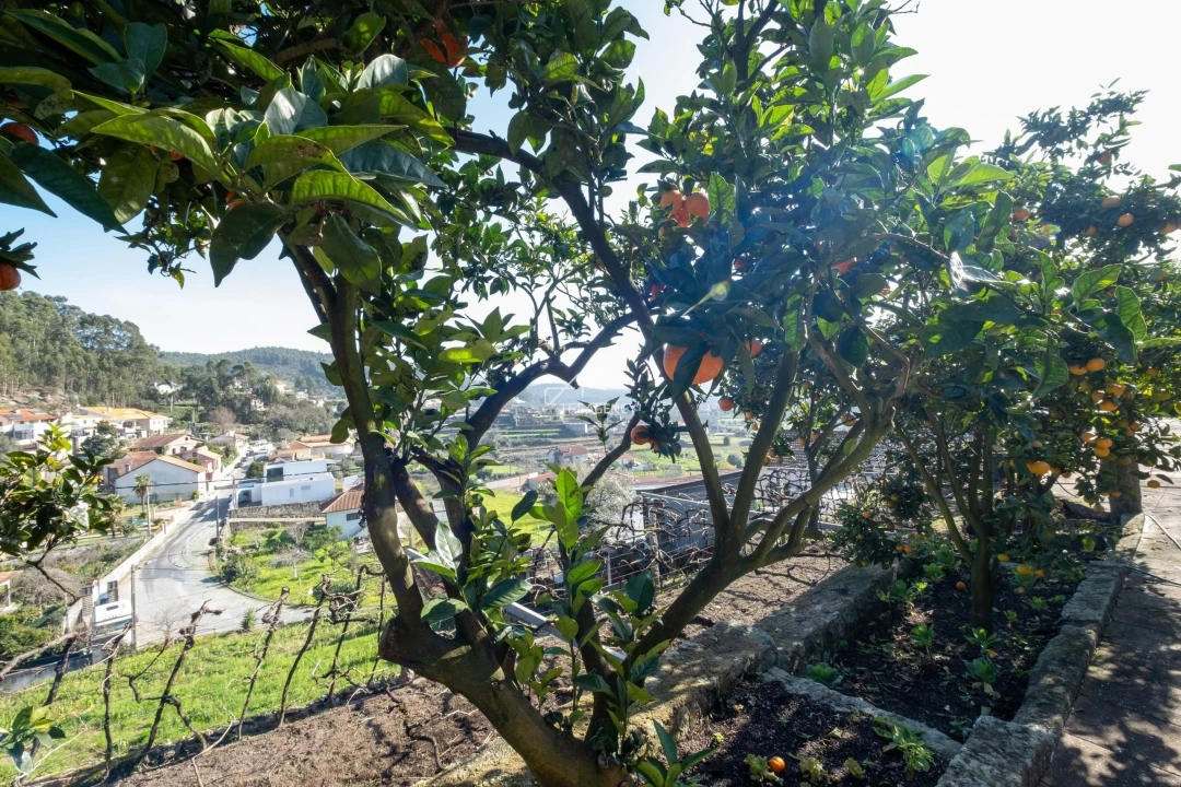 Quinta T3 para Venda em Esposende, Marinhas e Gandra Foto 17
