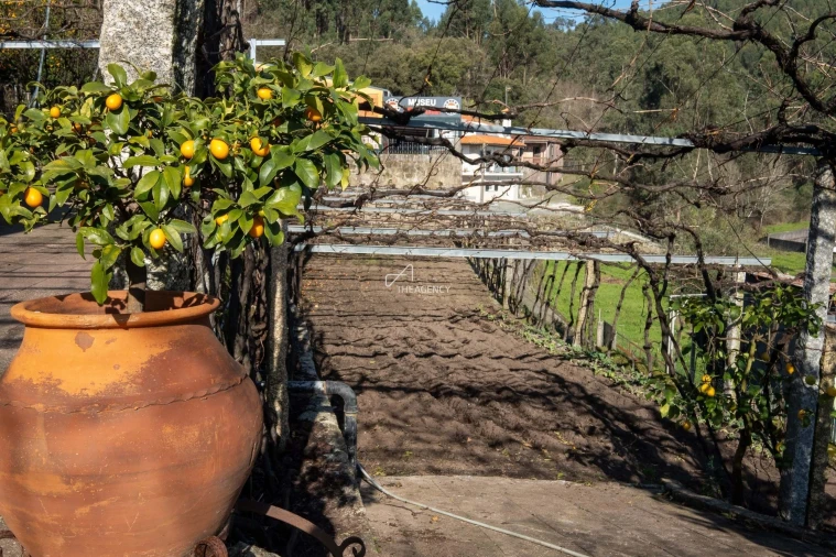 Quinta T3 para Venda em Esposende, Marinhas e Gandra Foto 15