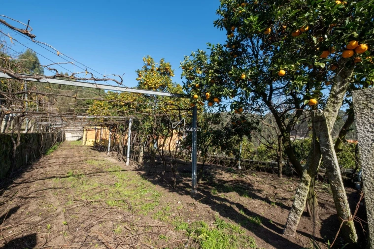 Quinta T3 para Venda em Esposende, Marinhas e Gandra Foto 28