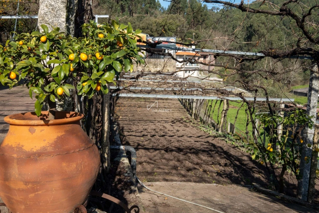 Quinta T3 para Venda em Esposende, Marinhas e Gandra Foto 15