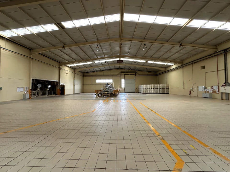 Armazém para Venda em Gavião e Atalaia Foto 58