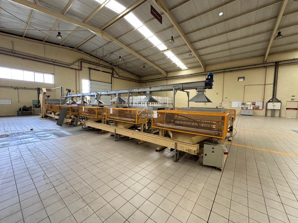 Armazém para Venda em Gavião e Atalaia Foto 50