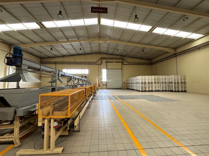 Armazém para Venda em Gavião e Atalaia Foto 52