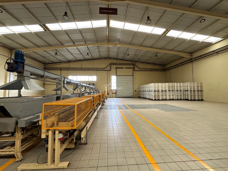 Armazém para Venda em Gavião e Atalaia Foto 52