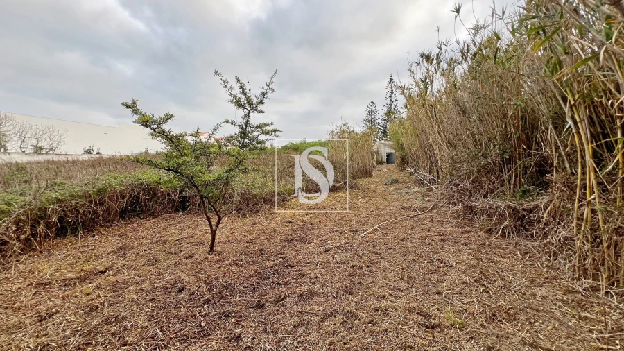 Moradia T3 para Venda em Atouguia da Baleia Foto 21