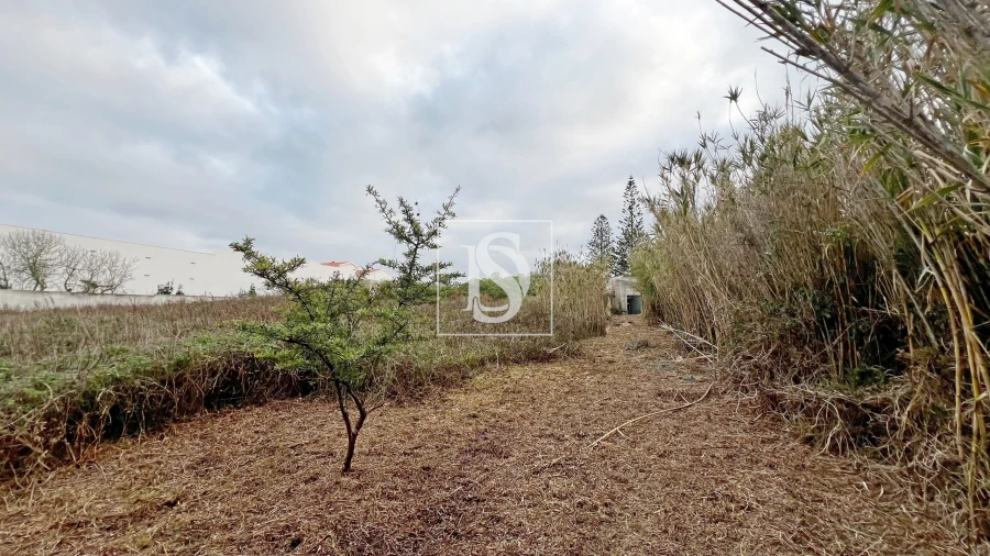 Moradia T3 para Venda em Atouguia da Baleia Foto 22