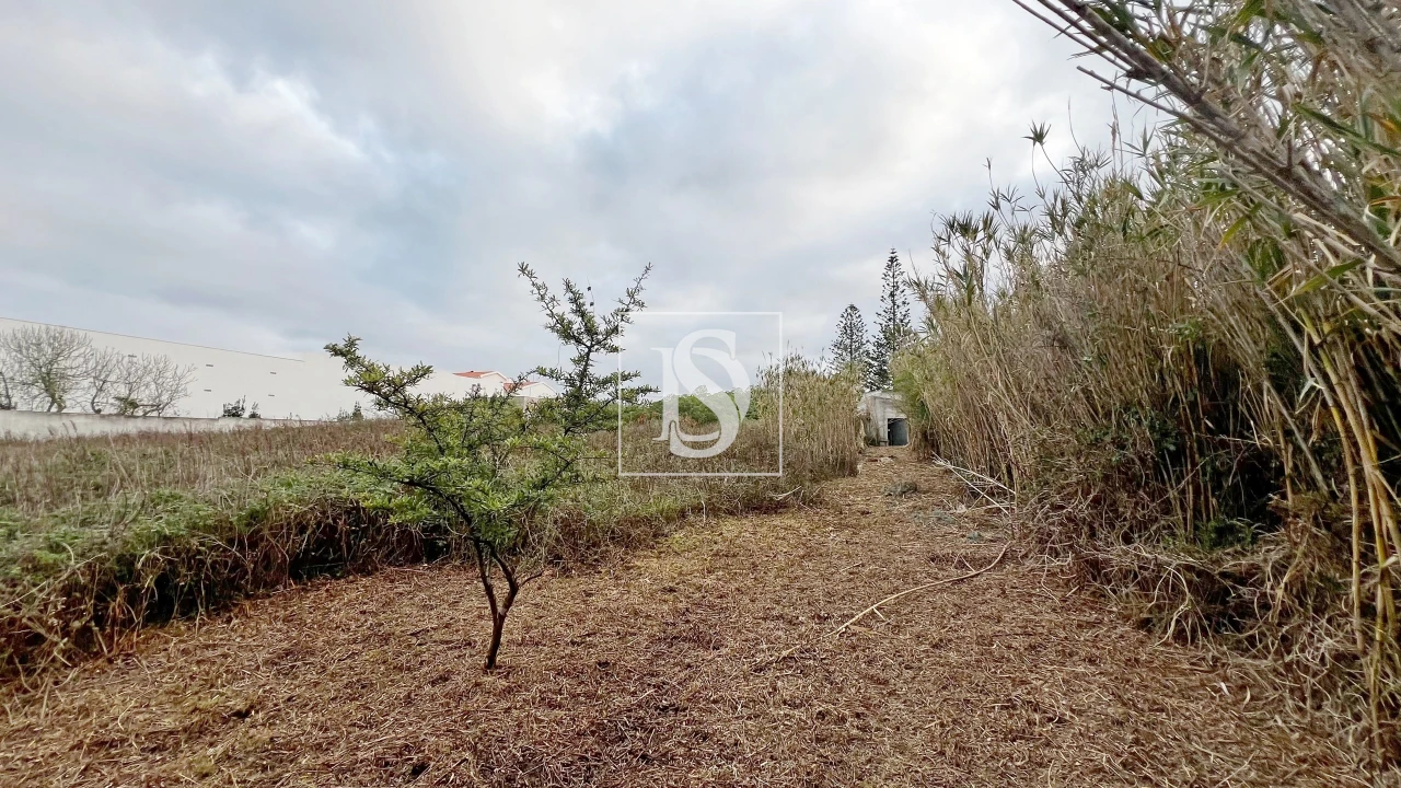 Moradia T3 para Venda em Atouguia da Baleia Foto 22