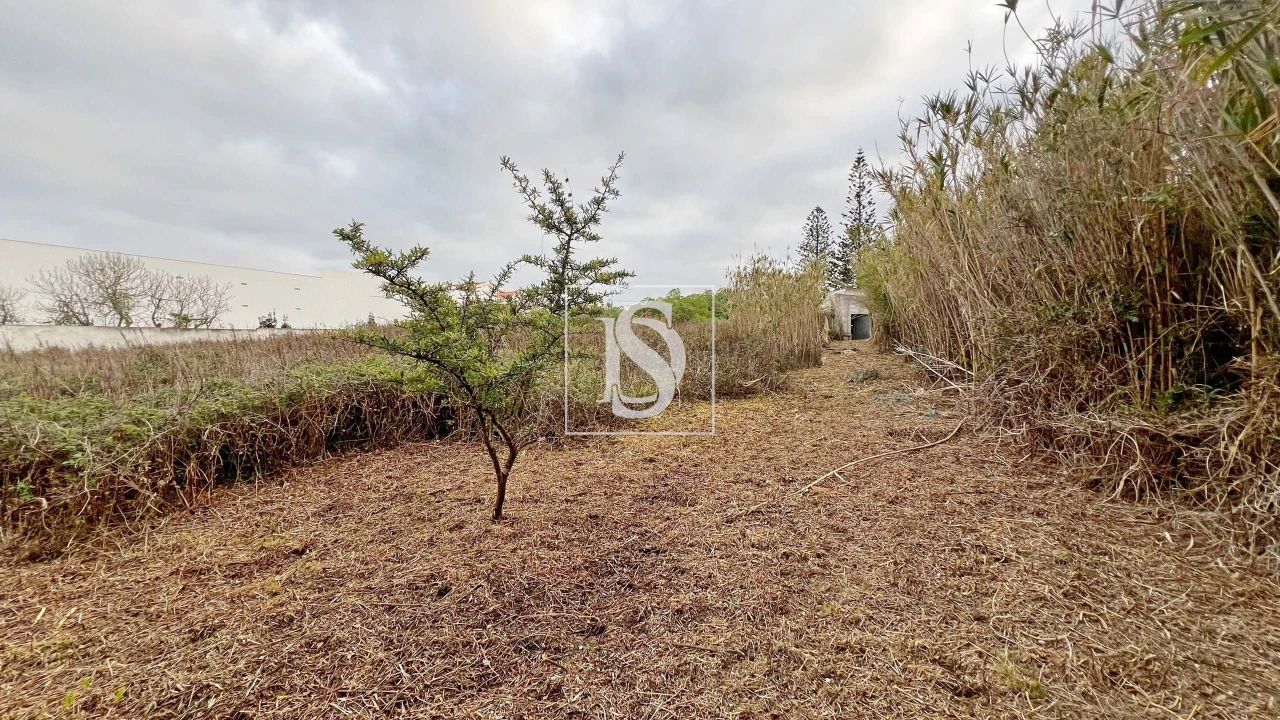 Moradia T3 para Venda em Atouguia da Baleia Foto 20