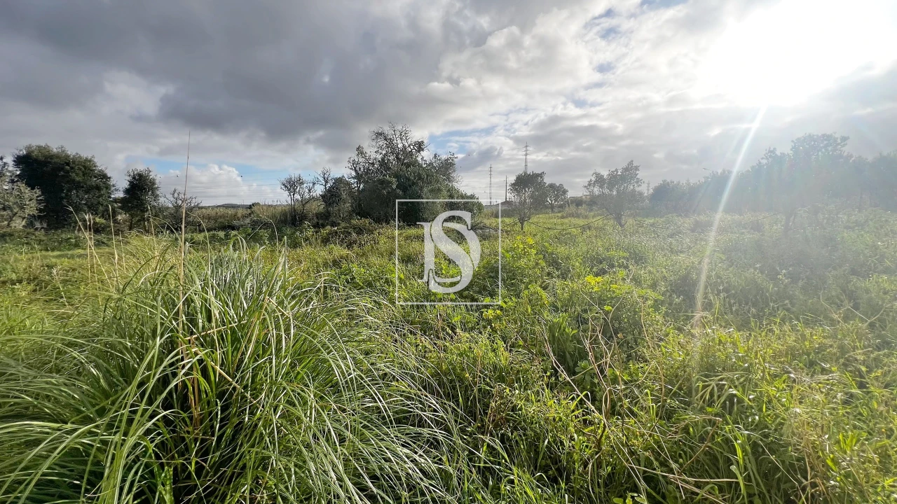 Armazém para Venda em Atouguia da Baleia Foto 10