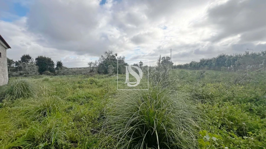 Armazém para Venda em Atouguia da Baleia Foto 12