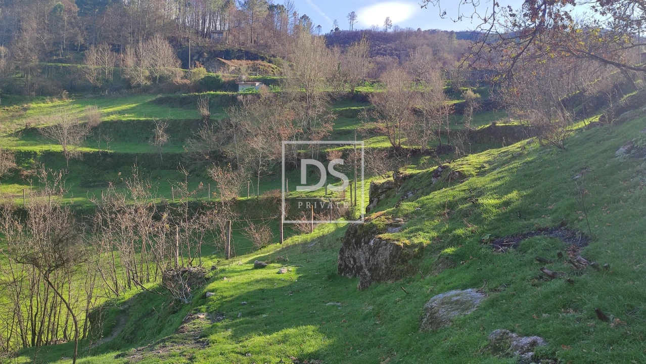 Terreno Agricola ou Rústico para Venda em Loivos do Monte Foto 11