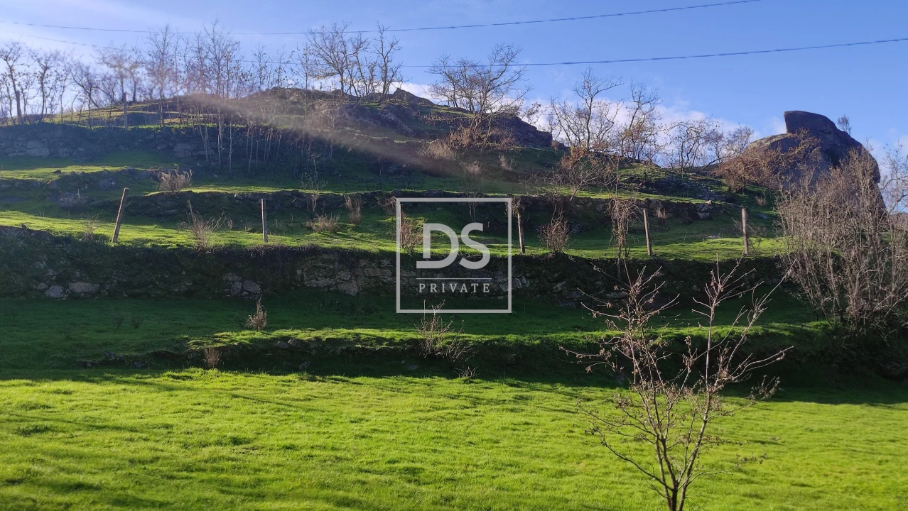 Terreno Agricola ou Rústico para Venda em Loivos do Monte Foto 10
