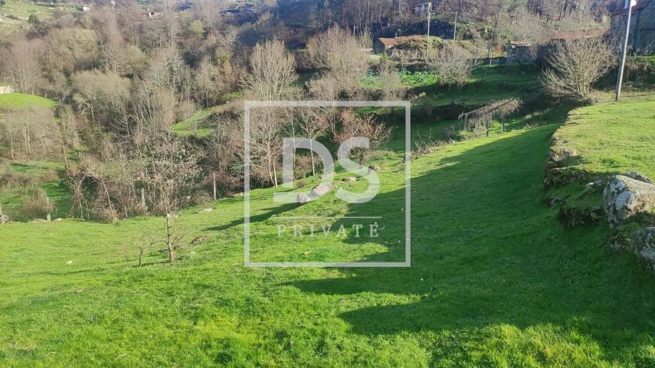 Terreno Agricola ou Rústico para Venda em Loivos do Monte Foto 3