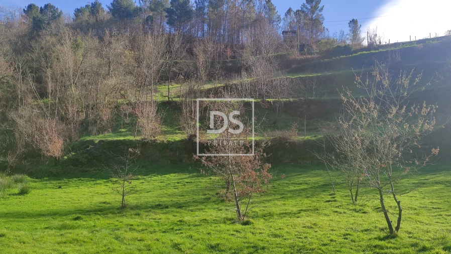 Terreno Agricola ou Rústico para Venda em Loivos do Monte Foto 9