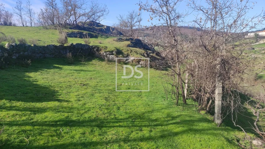 Terreno Agricola ou Rústico para Venda em Loivos do Monte Foto 5